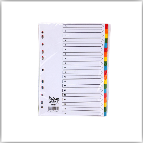 DIVIDER A4 20 COLOR  A4 Plastic Binder Dividers