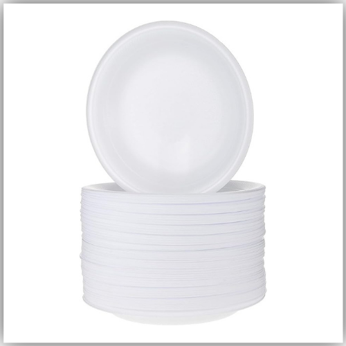 Foam Plates 10", 500pcs/Ctn