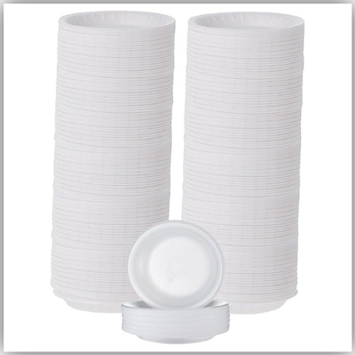 Plastic Plates 10 inch 500pcs/Ctn
